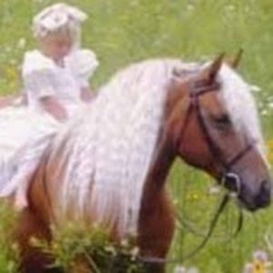 Meet your Posher, Allyson